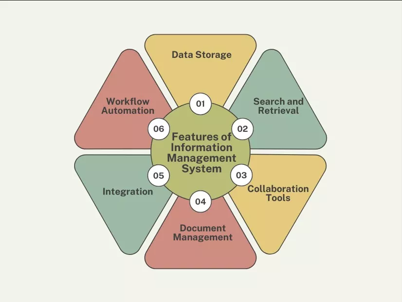 What is Management Information Systems (MIS)?