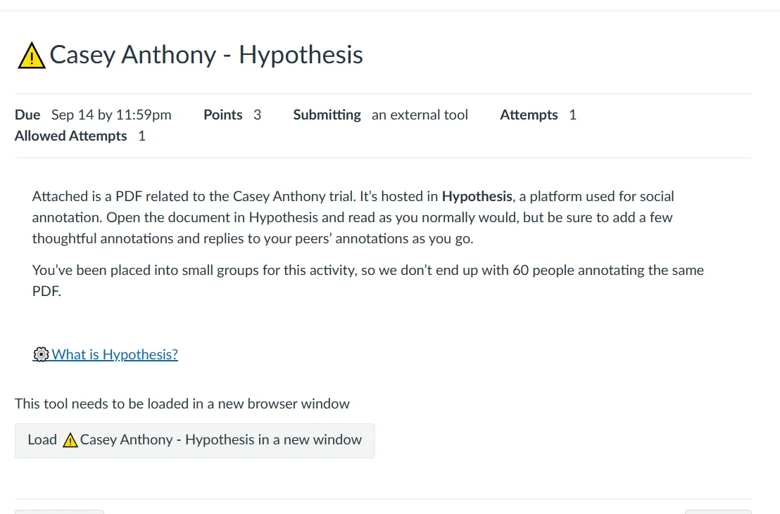 Casey Anthony - Hypothesis