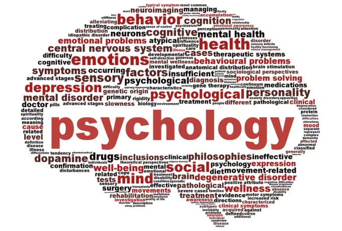 I will write a well-researched, plagiarism-free Psychology and Sociology paper for you.