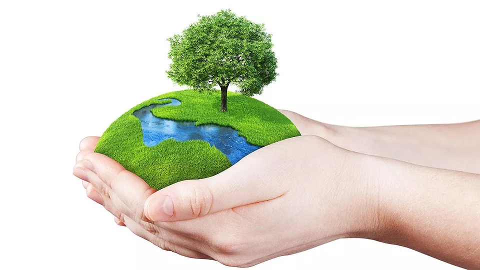 I will write comprehensive, well-researched papers on Environmental Science and Sustainability.